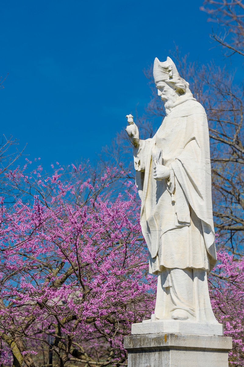 CSP552_20220420_0216