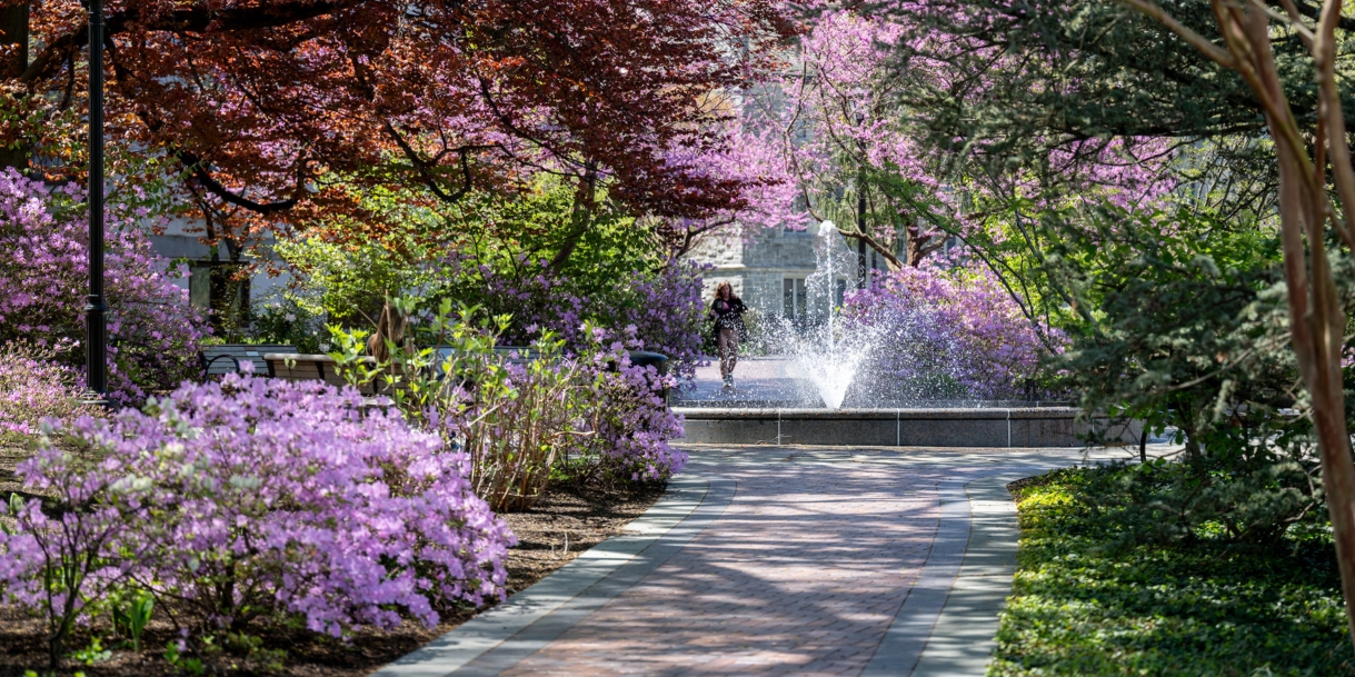 Pathway on the Villanova campus leading to Alumni Fountain.